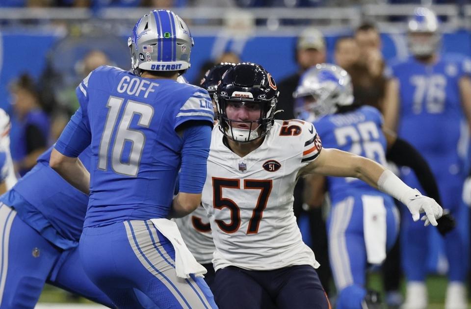 Lions-Bears